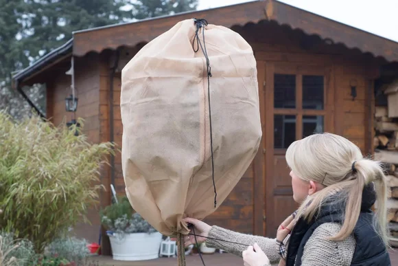 Person befestigt Winterschutz an Pflanze.